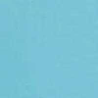 Men's Forita Palms Whale Graphic T-Shirt