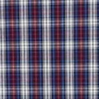 Tartan Plaid Poplin Shirt