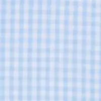 Anegada Gingham Perfect Wash Poplin Shirt