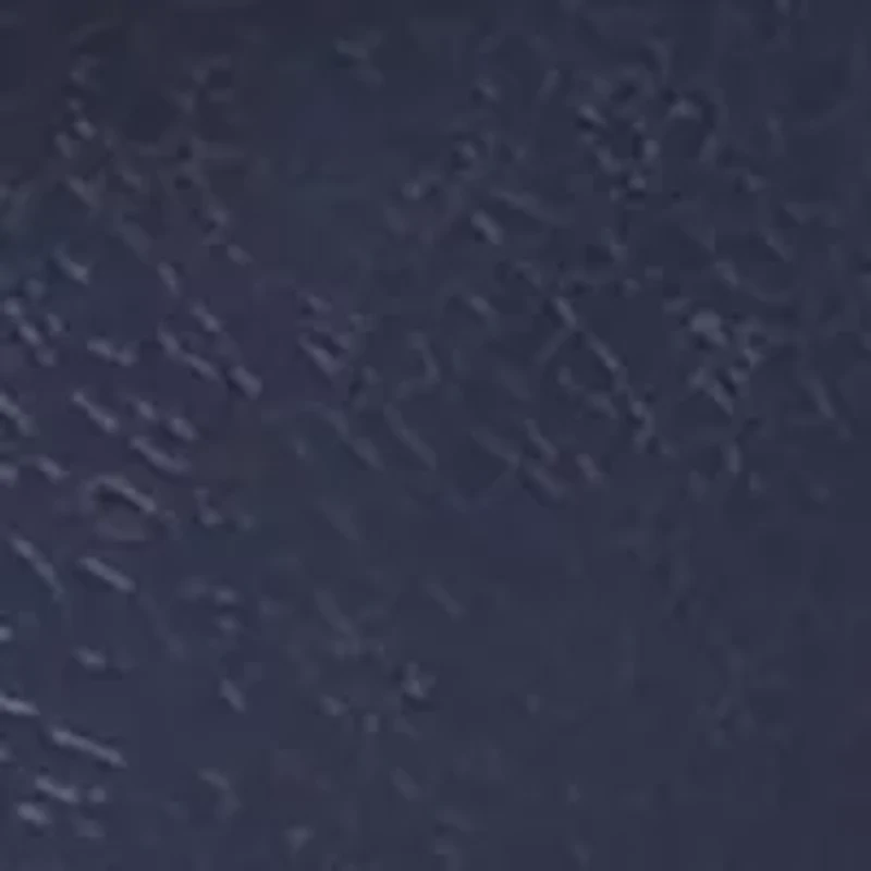 Whale Dot Pool Slides