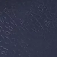 Whale Dot Pool Slides