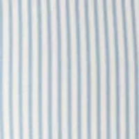 Micro Stripe Shirt