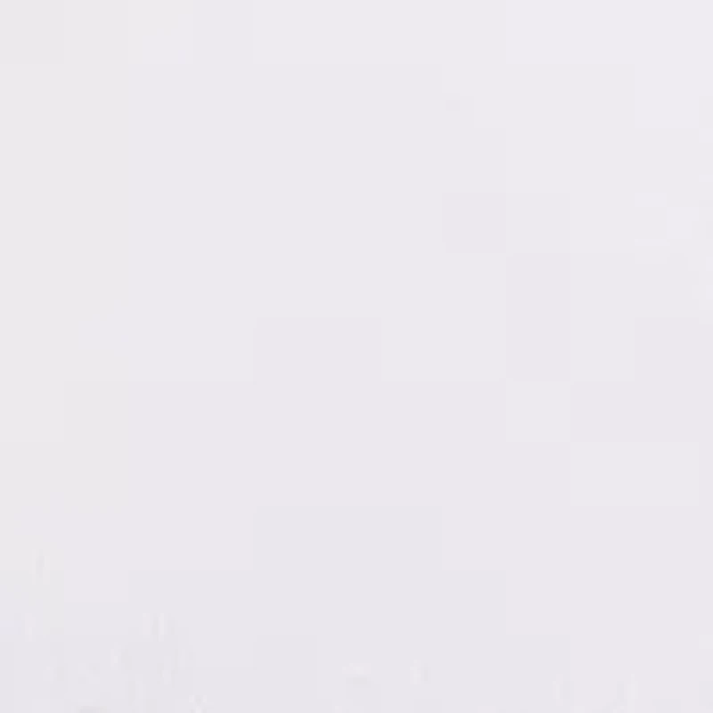 Men's Ponte Knit Shorts