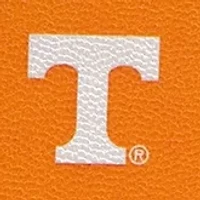 TENNESSEE WRISTLET