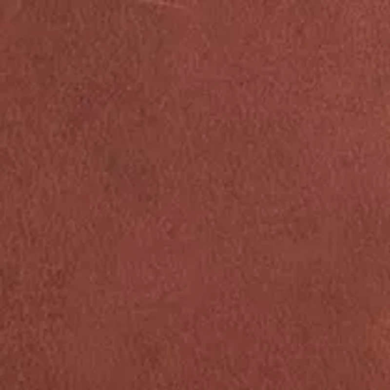 NCAA Wisconsin Badgers Brandish Belt