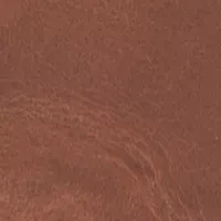 NCAA Arkansas Razorbacks Secretary Wallet