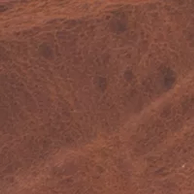 NCAA Missouri Tigers Secretary Wallet