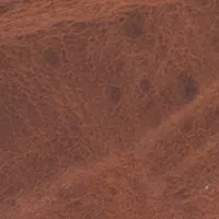 NCAA Missouri Tigers Secretary Wallet