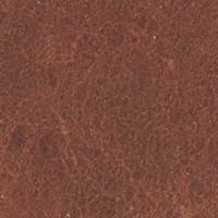 NCAA Ole Miss Rebels Bi Fold Wallet