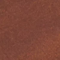 NCAA Michigan State Spartans Tri Fold Wallet