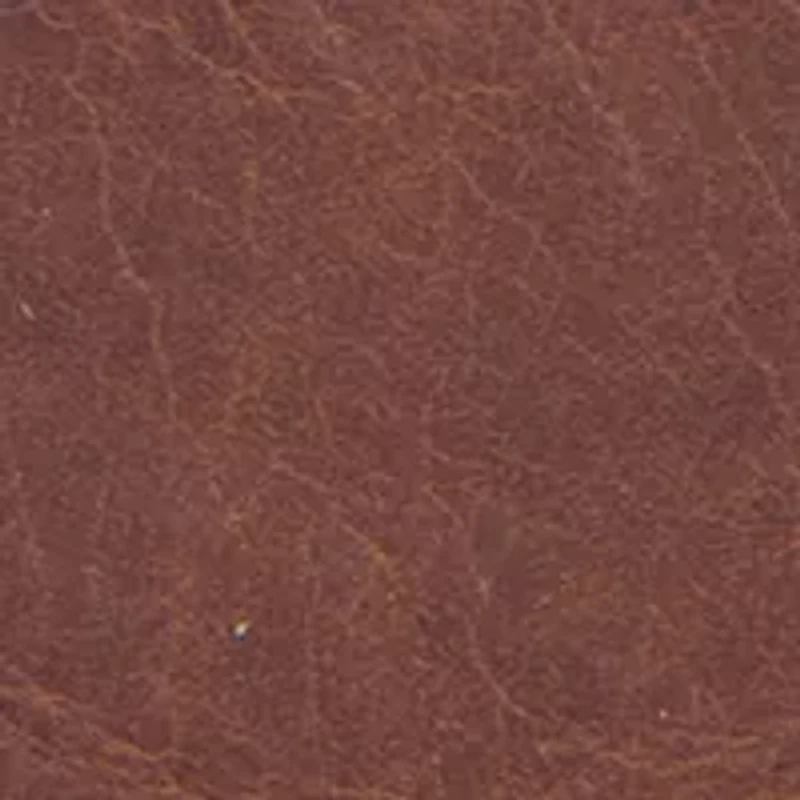 NCAA Ohio State Buckeyes Secretary Wallet