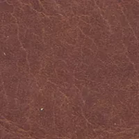 NCAA Ohio State Buckeyes Secretary Wallet