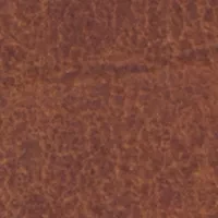 NCAA Penn State Nittany Lions Tri Fold Wallet