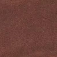 NCAA Penn State Nittany Lions Secretary Wallet