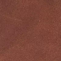 NCAA Penn State Nittany Lions Front Pocket Wallet