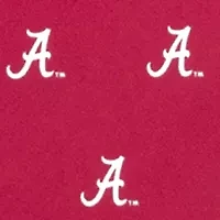 NCAA Alabama Crimson Tide Prep Tie