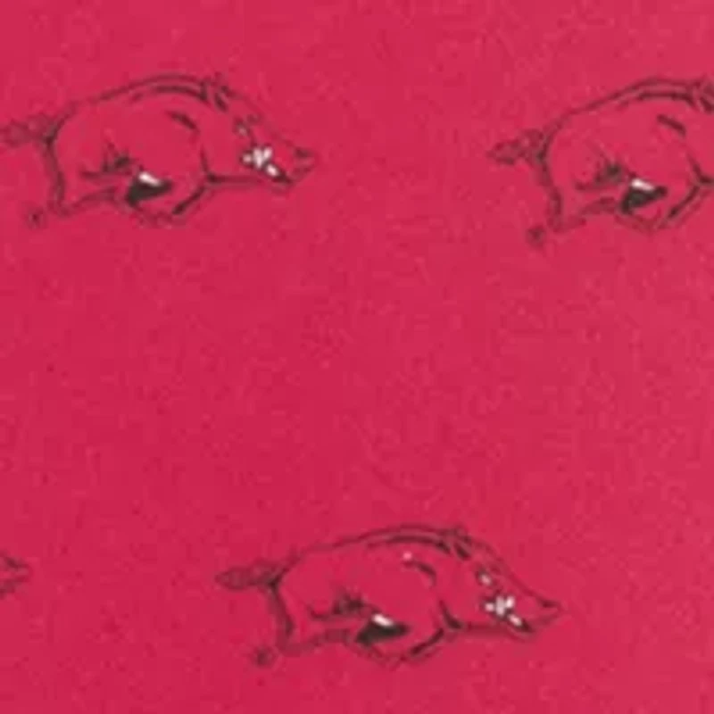NCAA Arkansas Razorbacks Prep Tie