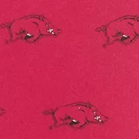 NCAA Arkansas Razorbacks Prep Tie
