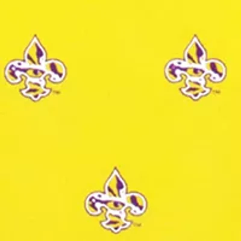 NCAA LSU Tigers Prep Tie