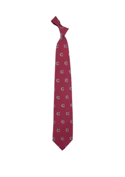 NCAA South Carolina Gamecocks Prep Tie