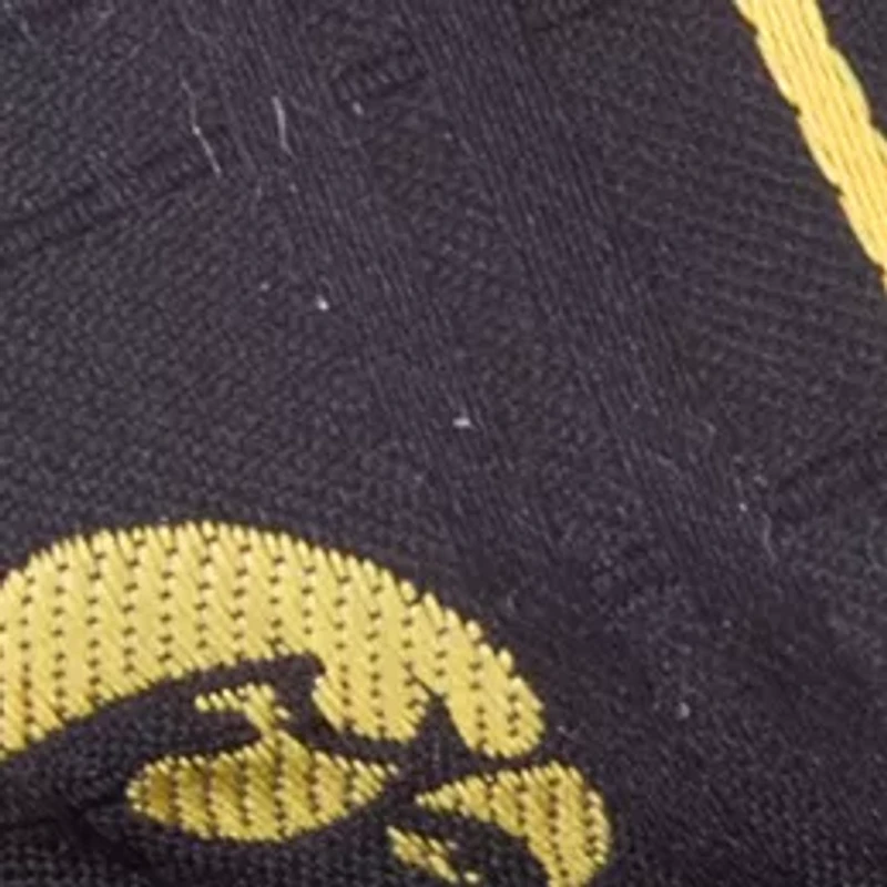 NCAA Iowa Hawkeyes Oxford Bow Tie