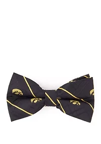 NCAA Iowa Hawkeyes Oxford Bow Tie