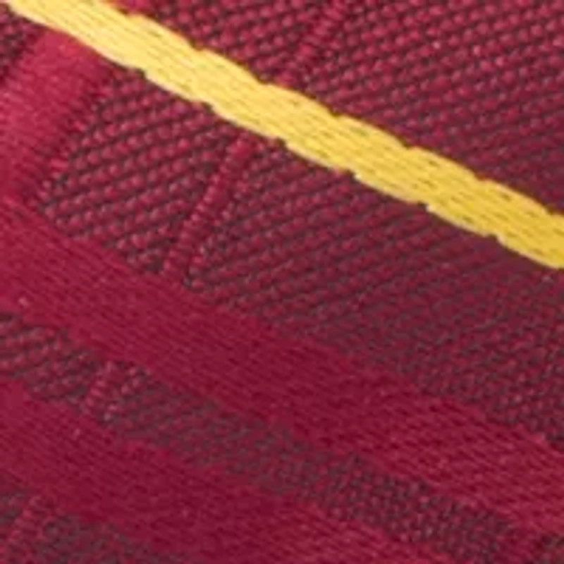 NCAA Iowa State Cyclones Oxford Bow Tie