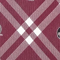 Florida State Seminoles Rhodes Necktie