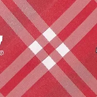 Wisconsin Badgers Rhodes Necktie
