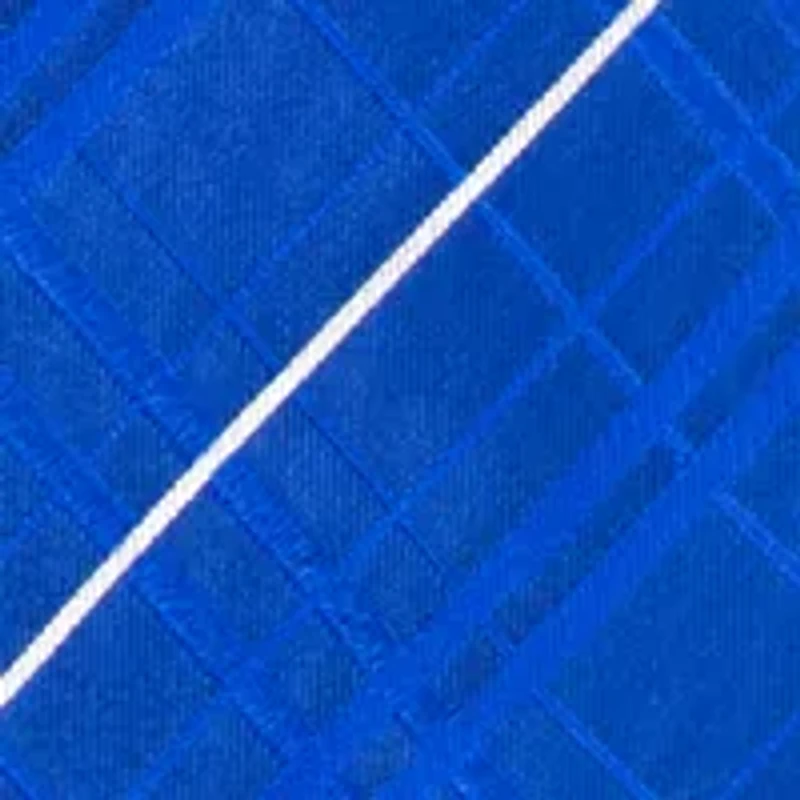 NCAA Kentucky Wildcats Oxford Woven Tie