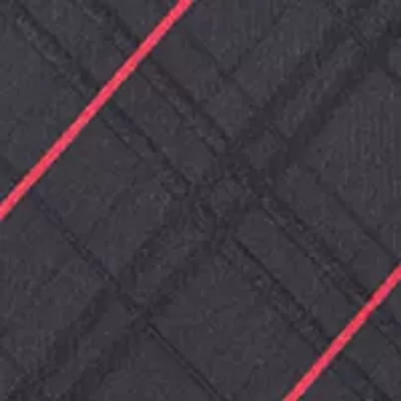 NCAA Louisville Cardinals Oxford Woven Tie