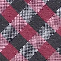 NCAA South Carolina Gamecocks Check Tie