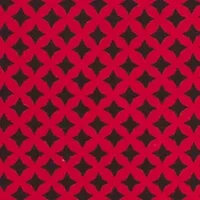 NCAA NC State Wolfpack Diamante Tie