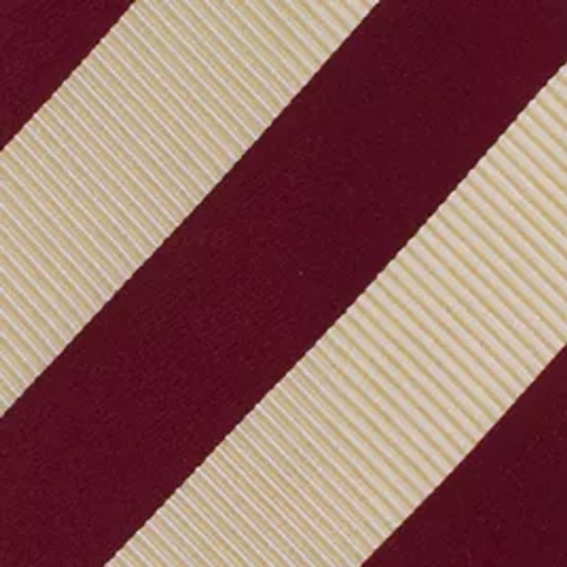 Florida State Seminoles Regiment Tie