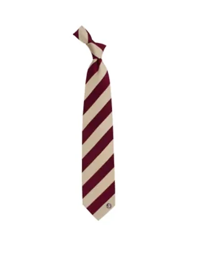Florida State Seminoles Regiment Tie