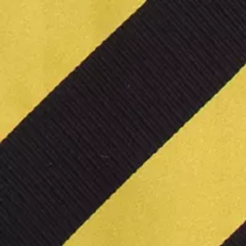 NCAA Missouri Tigers Regiment Tie