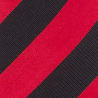 NC State Wolfpack Regiment Tie