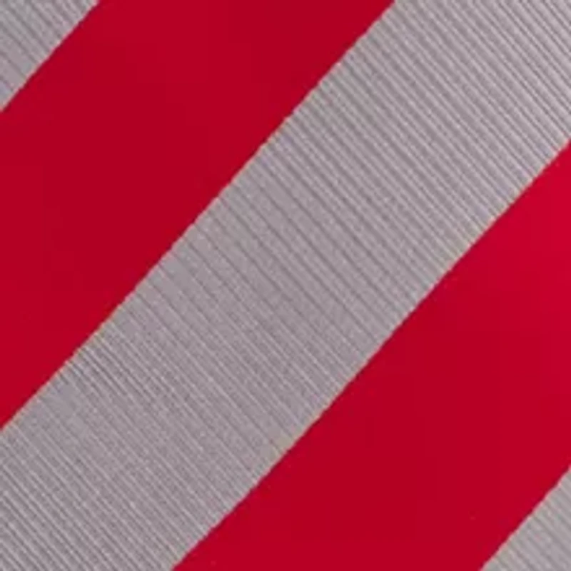 Ohio State Buckeyes Regiment Tie