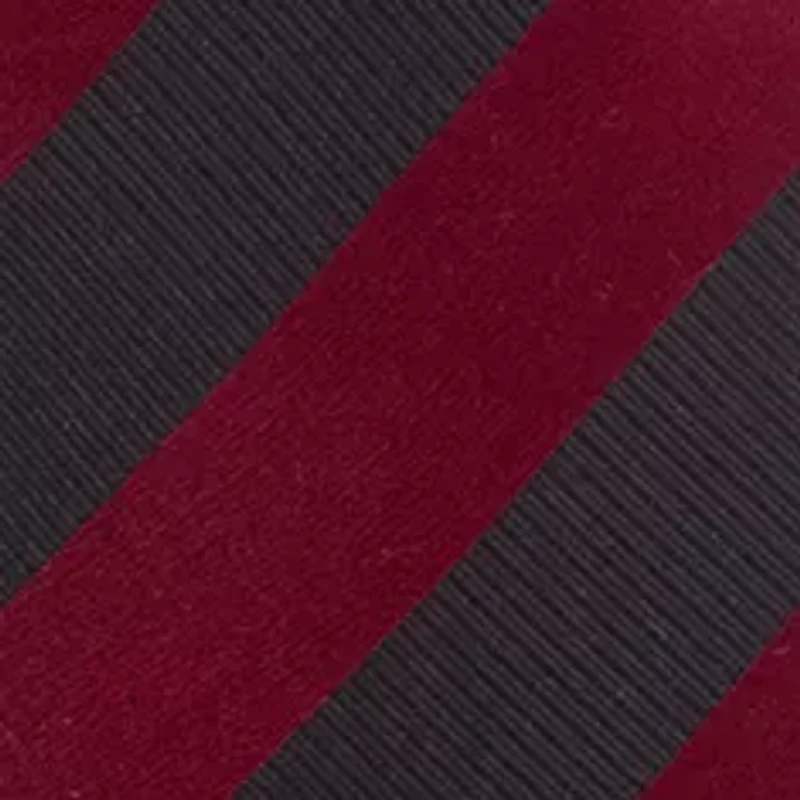 South Carolina Gamecocks Regiment Necktie