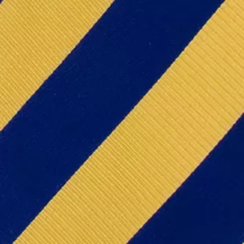 West Virginia Mountaineers Regiment Tie