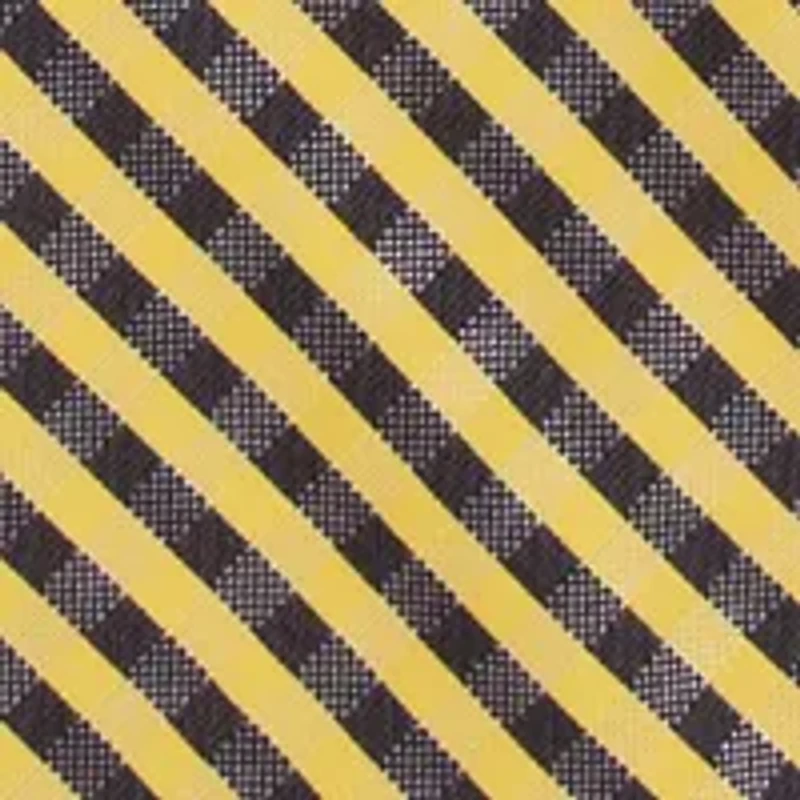 NCAA Iowa Hawkeyes Gingham Tie