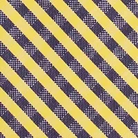 NCAA Michigan Wolverines Gingham Tie