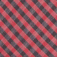 NCAA NC State Wolfpack Gingham Tie