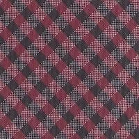 NCAA South Carolina Gamecocks Gingham Tie