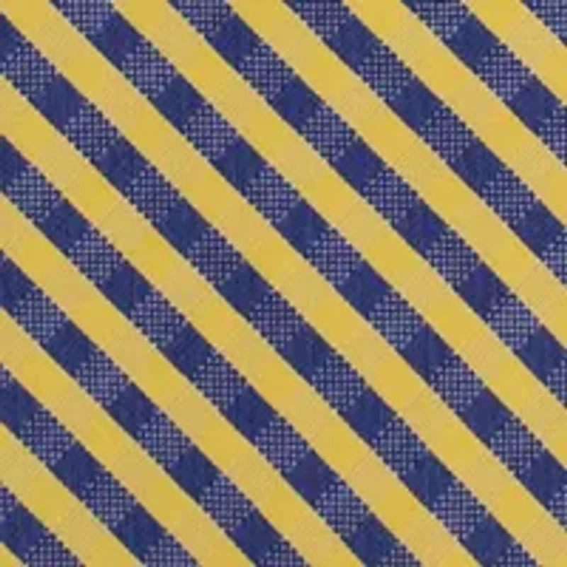 NCAA West Virginia Mountaineers Gingham Tie