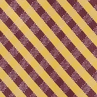 NCAA Iowa State Cyclones Gingham Tie