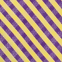 NCAA East Carolina Pirates Gingham Tie