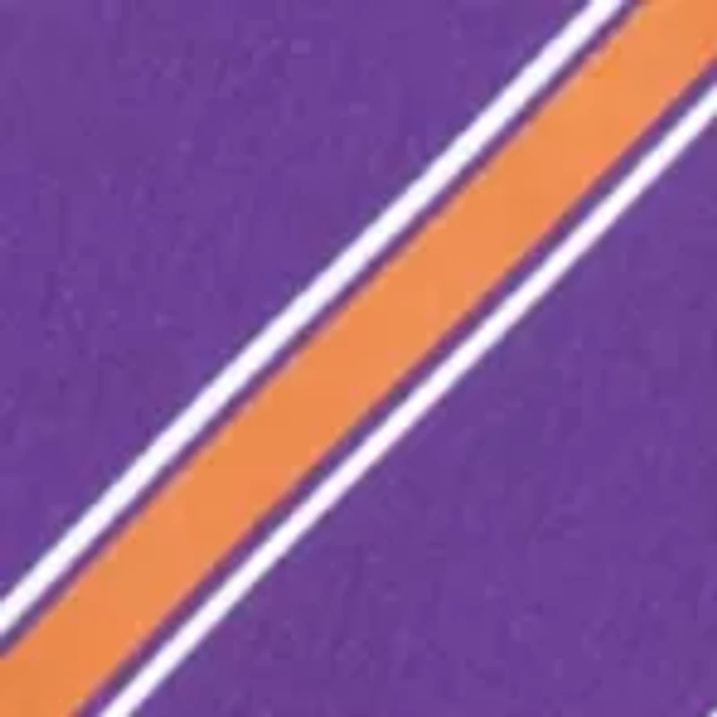 Clemson Tigers Stripe Tie