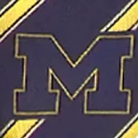 Michigan Wolverines Woven Poly 1 Tie