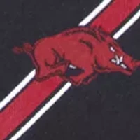 Arkansas  Razorbacks Woven Poly 1 Tie